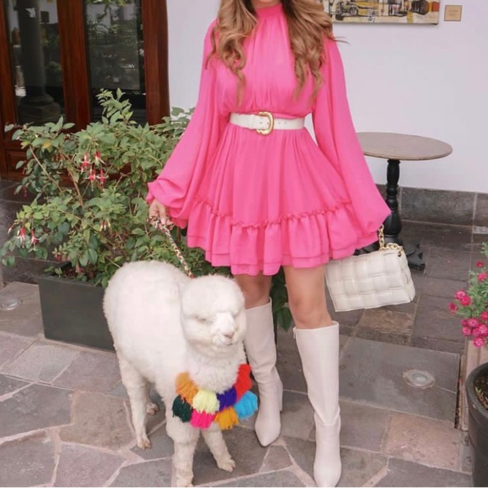 Pink High Neck Balloon Sleeve Chiffon Dress